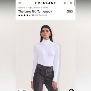 Everlane Turtleneck